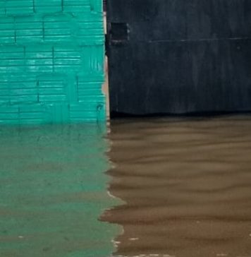 NÃO ASSINO CHEQUE EM BRANCO!