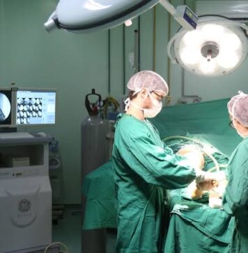 Servidores denunciam péssimas condições no IJF